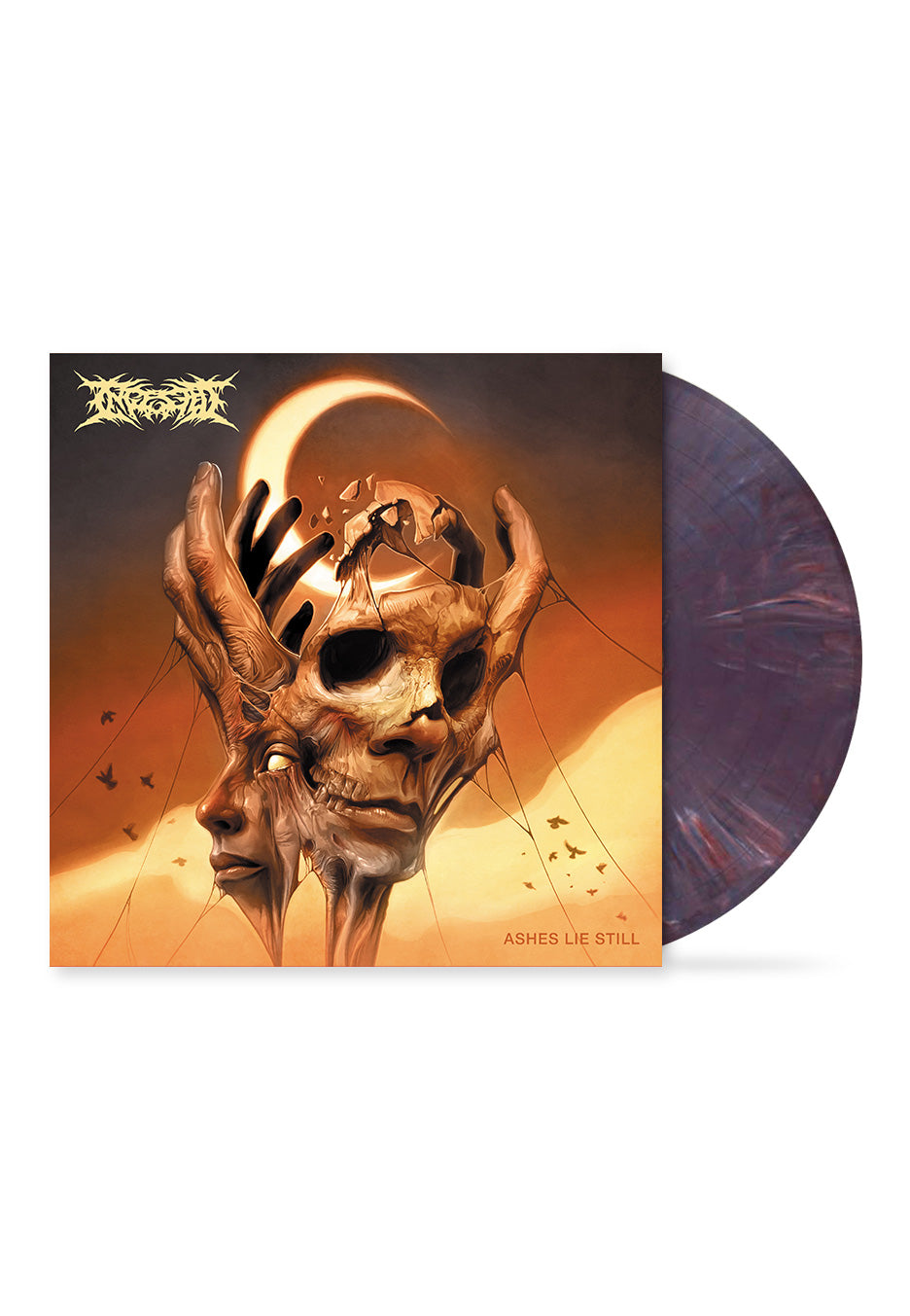 Ingested Ashes Lie Still Violet Purple Marbled Vinyl