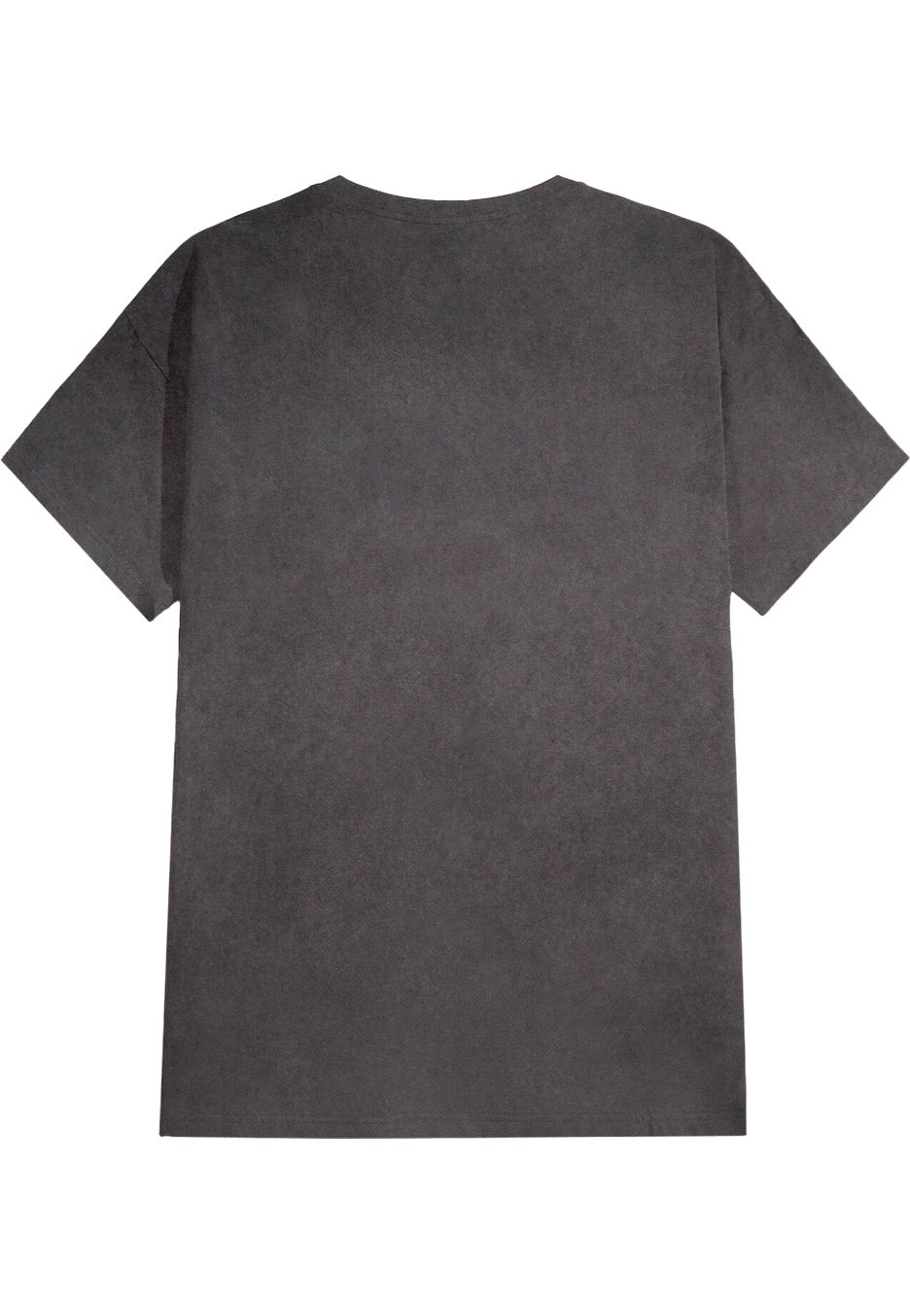 Nirvana - Seahorse Mono Logo Washed - T-Shirt | Neutral-Image